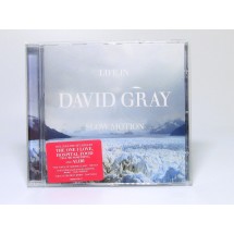 David Gray - Life in slow moti..