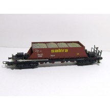 Electrotren Saltra