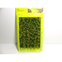 Noch 07255
