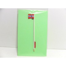 Norsk flag H0